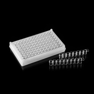 �������� Elisa Rotest
