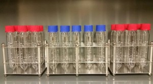 ����� ������������ 100 �� AM Glassware