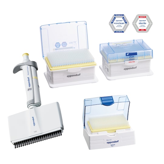 Research plus, 24-���������, 5���100��L, ���. ���������� ����������� ����������� Eppendorf 3125000923