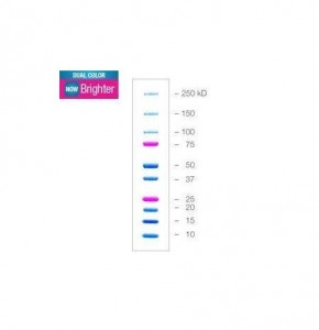 ������� �������� ������������� ����, ��������������, Dual Color, 10-250 ���, 10 �����, Bio-Rad 1610374