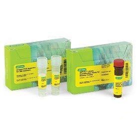 ����� ddPCR Library Quantification Kit for Illumina TruSeq, 200�20 ���, Bio-Rad 1863040