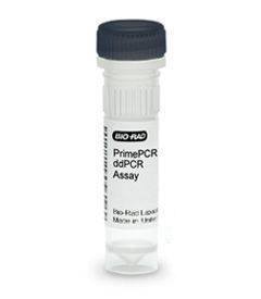 ����� EGFR T790M ������� PrimePCR ddPCR, 200 �������, Bio-Rad 1863103
