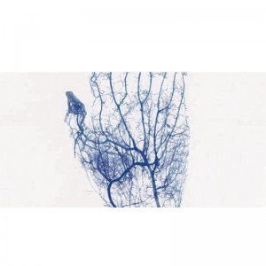�������� ��� BK-VIA100 Biobase