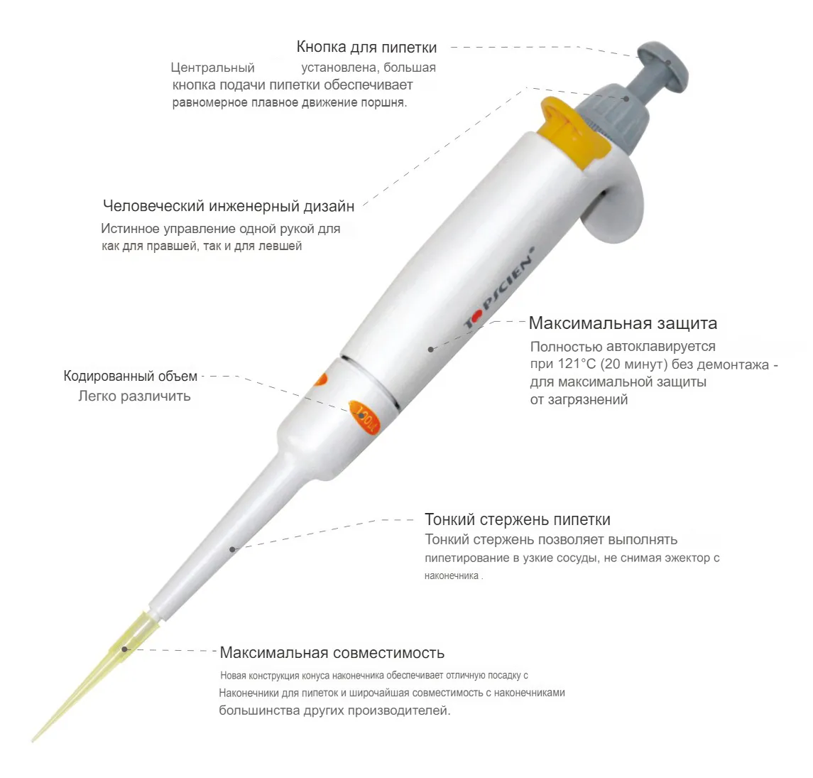 ������������ �������������� ������ ����� TF Topscien