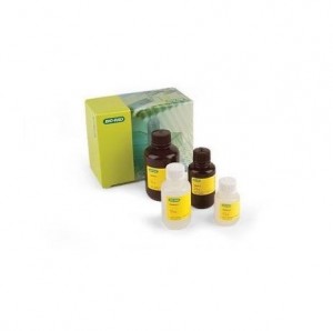 ����� TGX Stain-Free FastCast Acrylamide Starter Kit, 10%, Bio-Rad 1610182