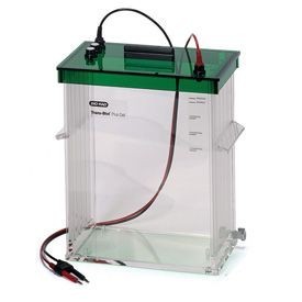 ������ ��� ������, 12 �, Trans-Blot Plus, Bio-Rad 1704995