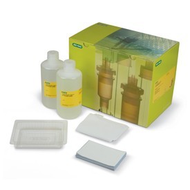 ����� ��� �������� ��������� Trans-Blot Turbo RTA Transfer Kit, Midi, PVDF, 40 Blots, Bio-Rad 1704273