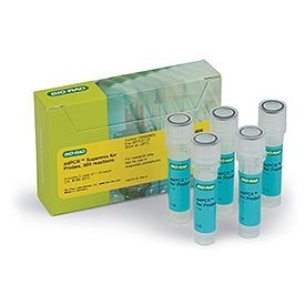 ����� ���������, 2� ��������� ��� ������ � ������� TagMan, 200 �������, Bio-Rad 1863026
