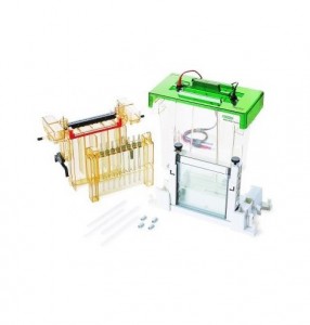������� ��� ��� Protean II xi 2D Cell, 16 ��, �������� 1,5 ��, Bio-Rad 1651932
