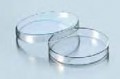 ����� �����, ������ 