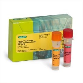 ����� ��� ������� ���� iScript Advanced cDNA Synthesis Kit, Bio-Rad 1725038