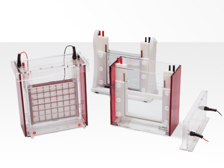 ����������� Biometra Eco-Maxi Analytik Jena