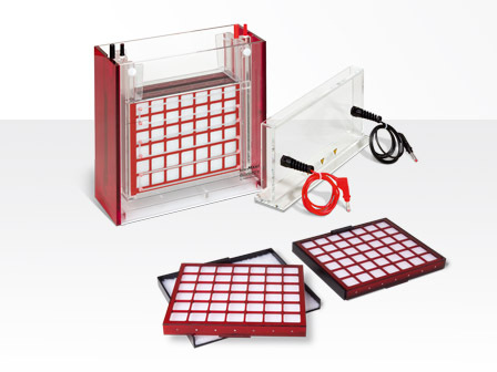 ��������� Biometra Tankblot Analytik Jena