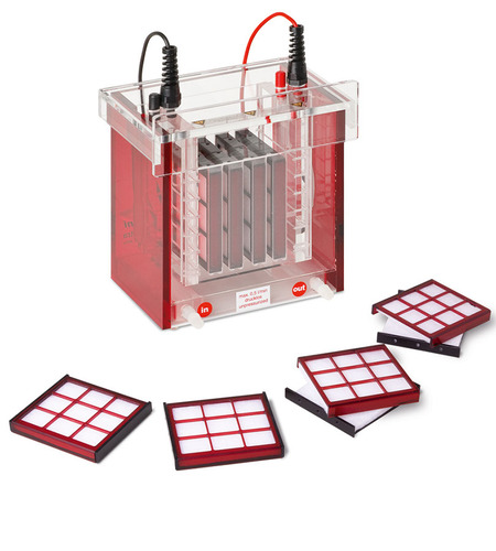 ��������� Biometra Tankblot Analytik Jena