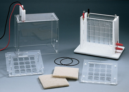 ��������� Biometra Tankblot Analytik Jena