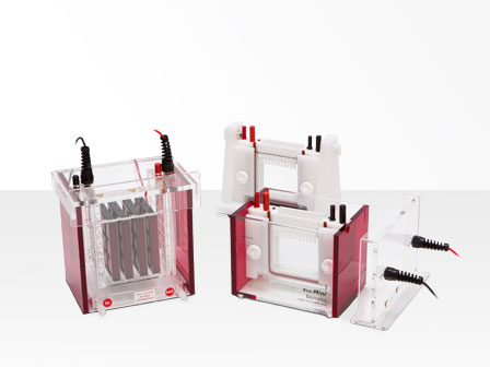 ����������� Biometra Eco-Mini Analytik Jena