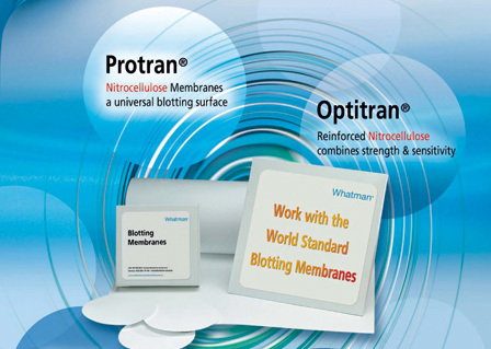 �������� ��� ��������� Protran Analytik Jena