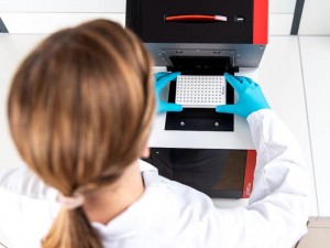 ����������� qTOWER?iris Analytik Jena