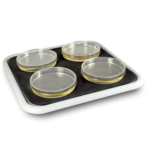 ��������� Bio PP-4 Biosan BS-010116-AK