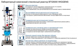 ������������ ���������� ���������� ������� BTG5000 Wiggens WRS-1501-061M