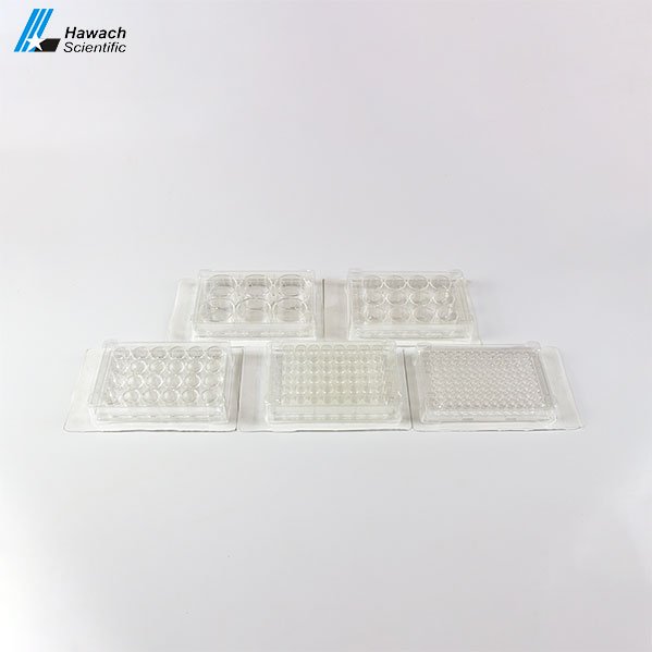 ������ ��� ����������� ������� Hawach Scientific