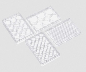 �������� ������ Haier Biomedical