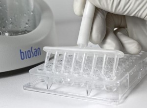 ��������� � ������-�������� FTA-1 Biosan BS-040108-AAG