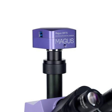��������������� ��������� Pol D800 Magus 83040