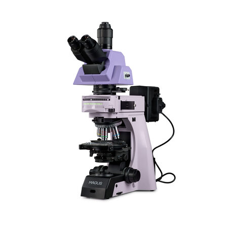 ��������������� ��������� Pol 890 Magus 83486