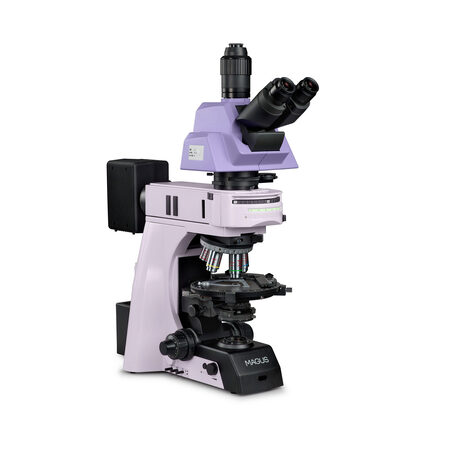 ��������������� ��������� Pol 890 Magus 83486