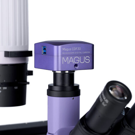 �������� ��������� Bio VD300 Magus 83012