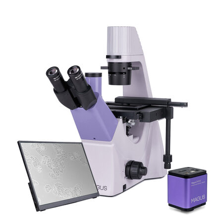 �������� ��������� Bio VD300 LCD Magus 83013