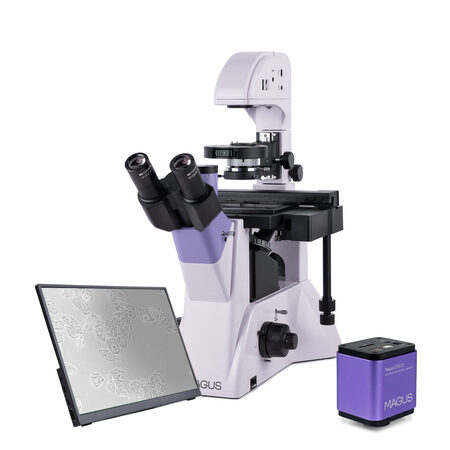 �������� ��������� Bio VD350 LCD Magus 83015