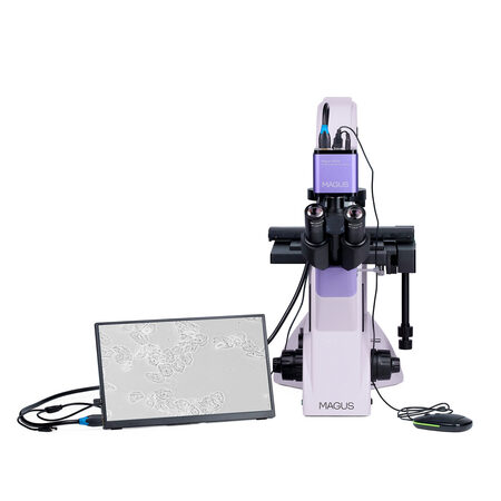 �������� ��������� Bio VD350 LCD Magus 83015