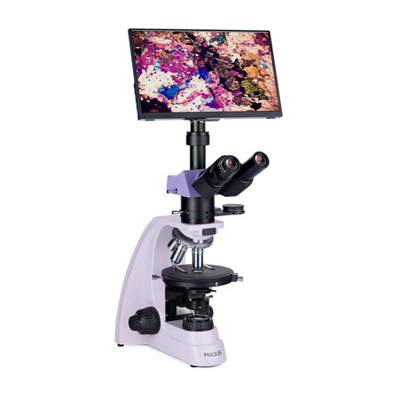 �������� ��������� Pol D800 LCD Magus 83041