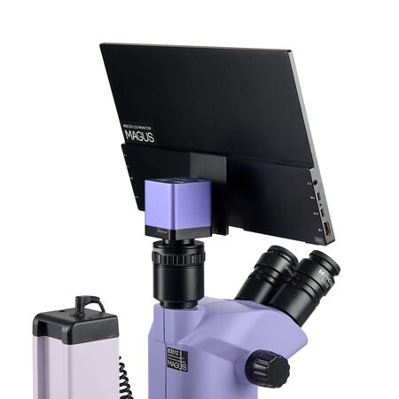 �������� ��������� Stereo D7T LCD BASE Magus 85279