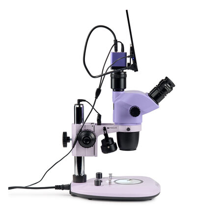 �������� ��������� Stereo D8T LCD BASE Magus 85283