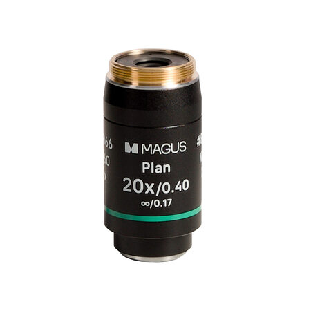 �������� 20PL60 Magus 85066