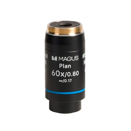 �������� 60PL60 Magus 85068