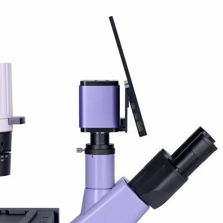 ������������� ��������������� ��������� Bio VD300 LCD Magus 83013
