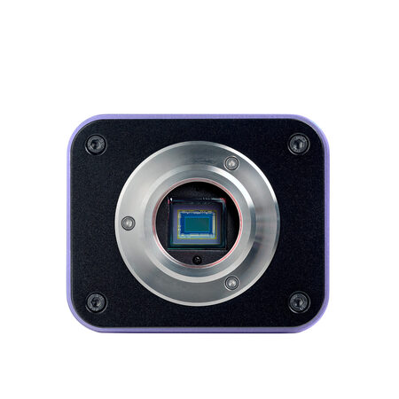 ������������� ��������������� ��������� Bio VD300 LCD Magus 83013