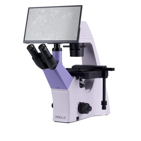 ������������� ��������������� ��������� Bio VD300 LCD Magus 83013