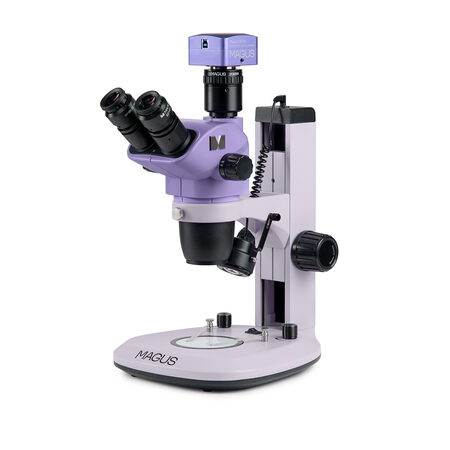 ����������������� ��������� Stereo D7T BASE Magus 85277