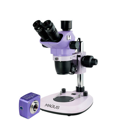 ����������������� ��������� Stereo D8T BASE Magus 85281
