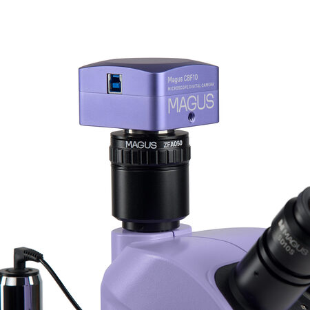 ����������������� ��������� Stereo D8T BASE Magus 85281