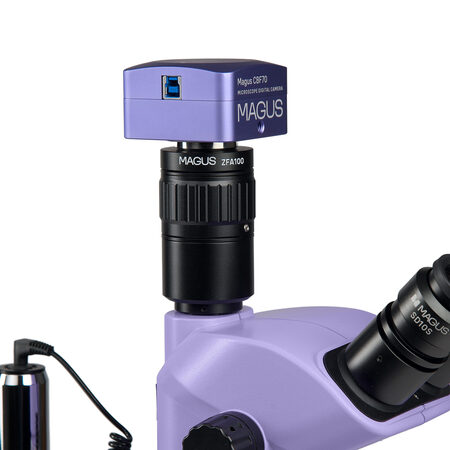 ����������������� ��������� Stereo D8T PLUS Magus 85282