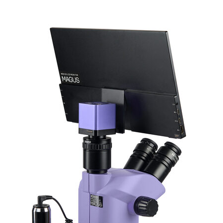 ����������������� ��������� Stereo D8T LCD BASE Magus 85283