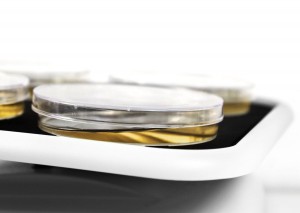 ����-����� ������ MR-1 Biosan BS-010152-AAG