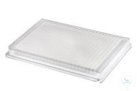 Ritter Riplate� 384-�������� ������� PP, F-Bottom 43001-0035