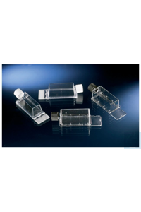 Thermo Scientific - ������ Nunc & Samco ��� ������ SlideFlask ����� ��� ������ SlideFlask 1000 171862